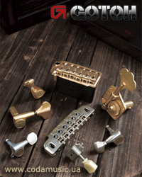 Механіка Gotoh